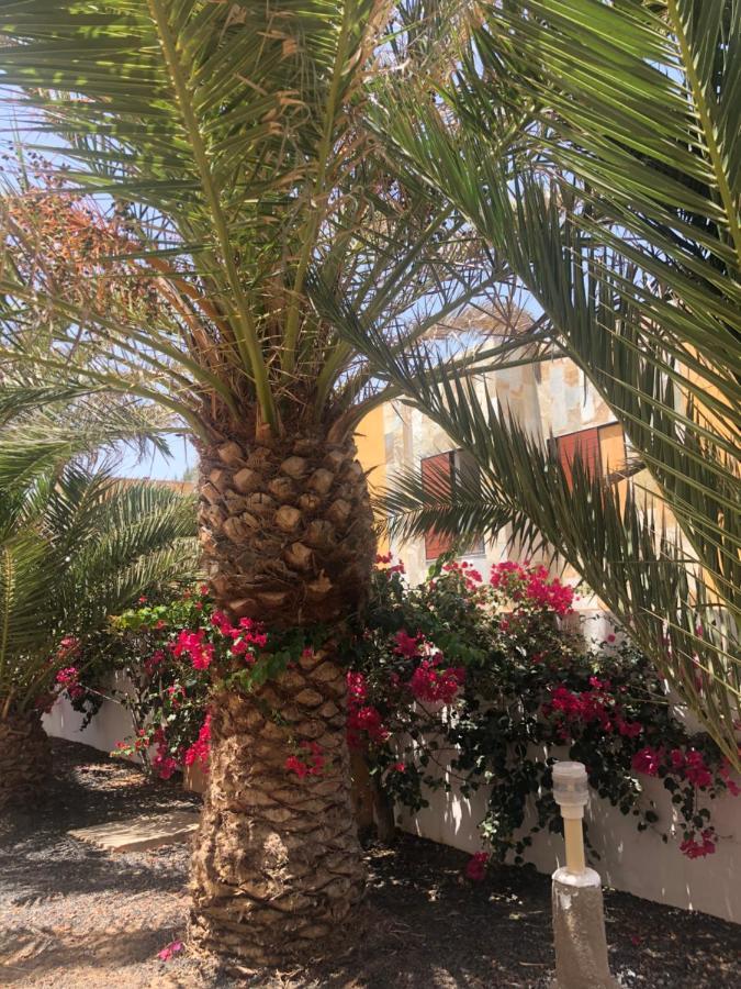 Apartamento Paradise Amaya Costa De Antigua Eksteriør billede
