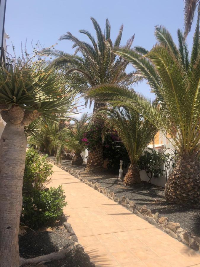 Apartamento Paradise Amaya Costa De Antigua Eksteriør billede